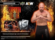 Weiss-Schwarz-Forbidden-Door-Trial-Deck-AEW